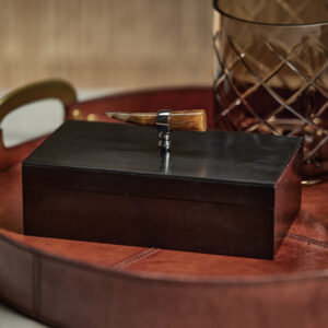 Black Storage Box with Horn Design Handle
